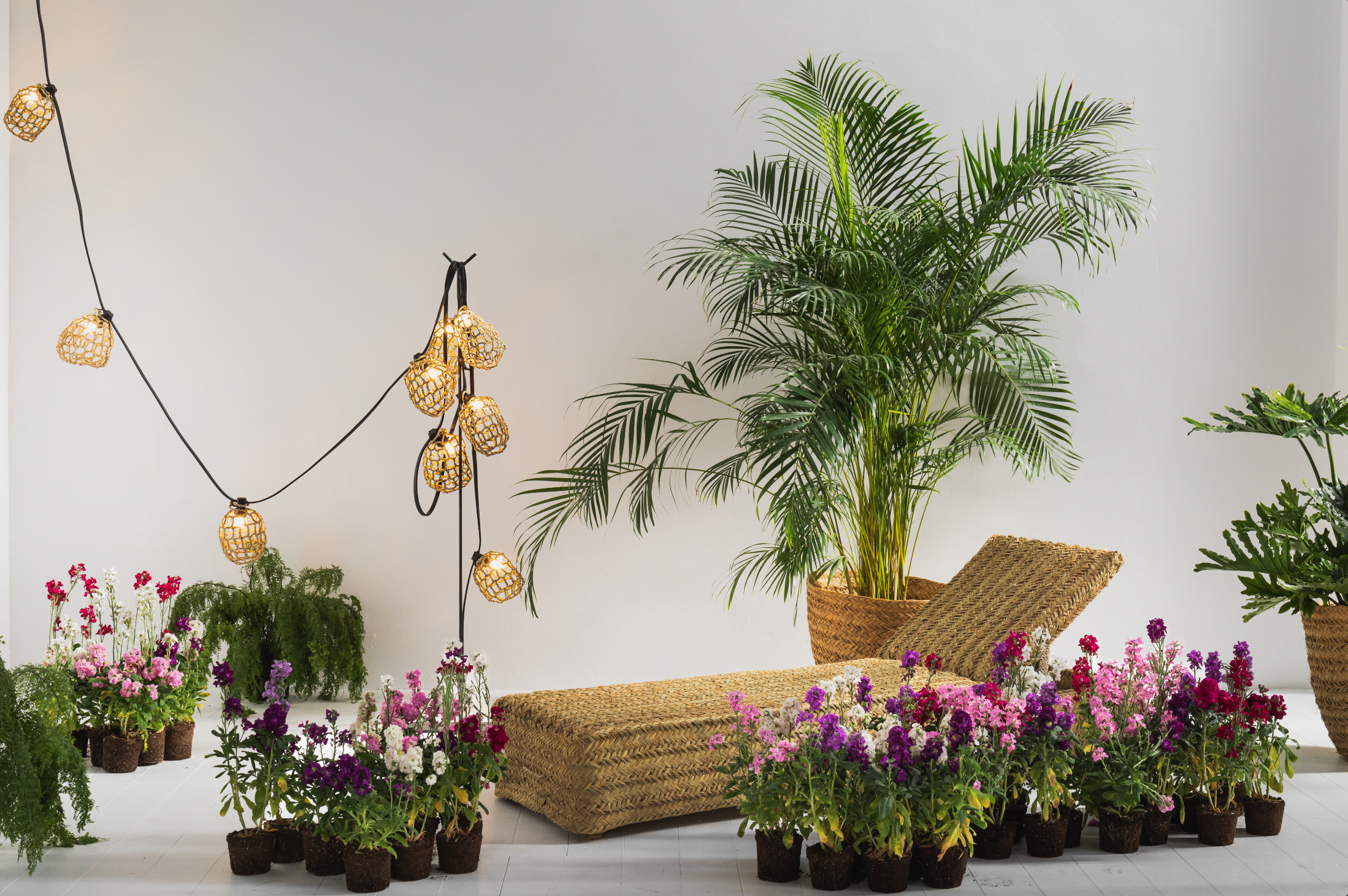 Área de descanso con tumbona de mimbre, luces decorativas de cuerda, plantas de interior y macetas con flores