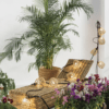 Área de descanso con tumbona de mimbre, luces decorativas de cuerda, plantas de interior y macetas con flores